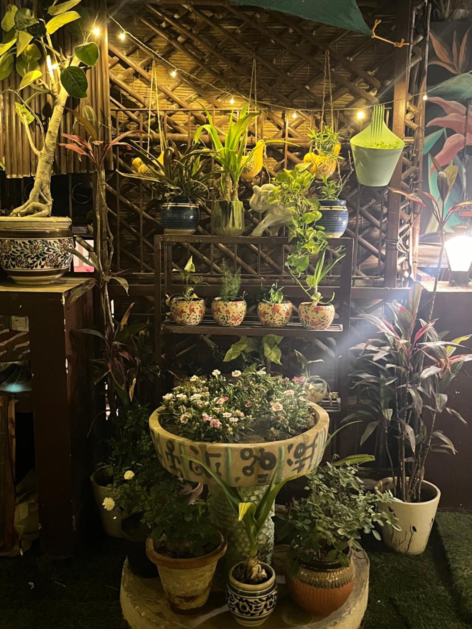 Anavrin Art House Appartement New Delhi Buitenkant foto